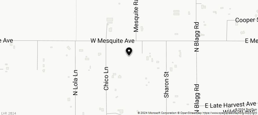 281 West Mesquite Avenue Property Photo 8