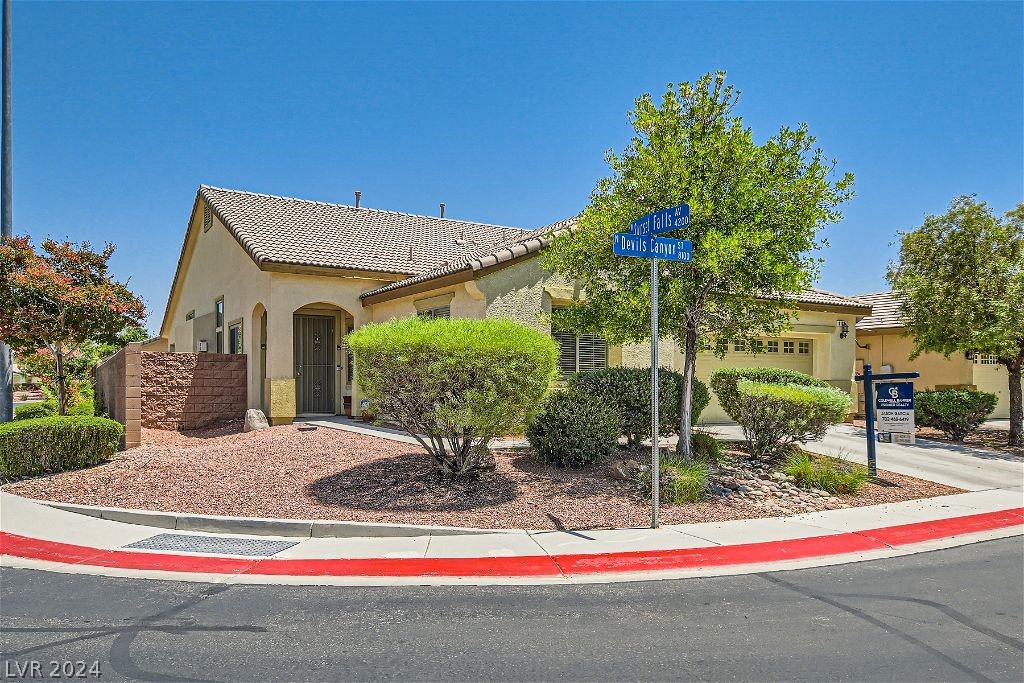 8132 Devils Canyon Street Property Photo 1