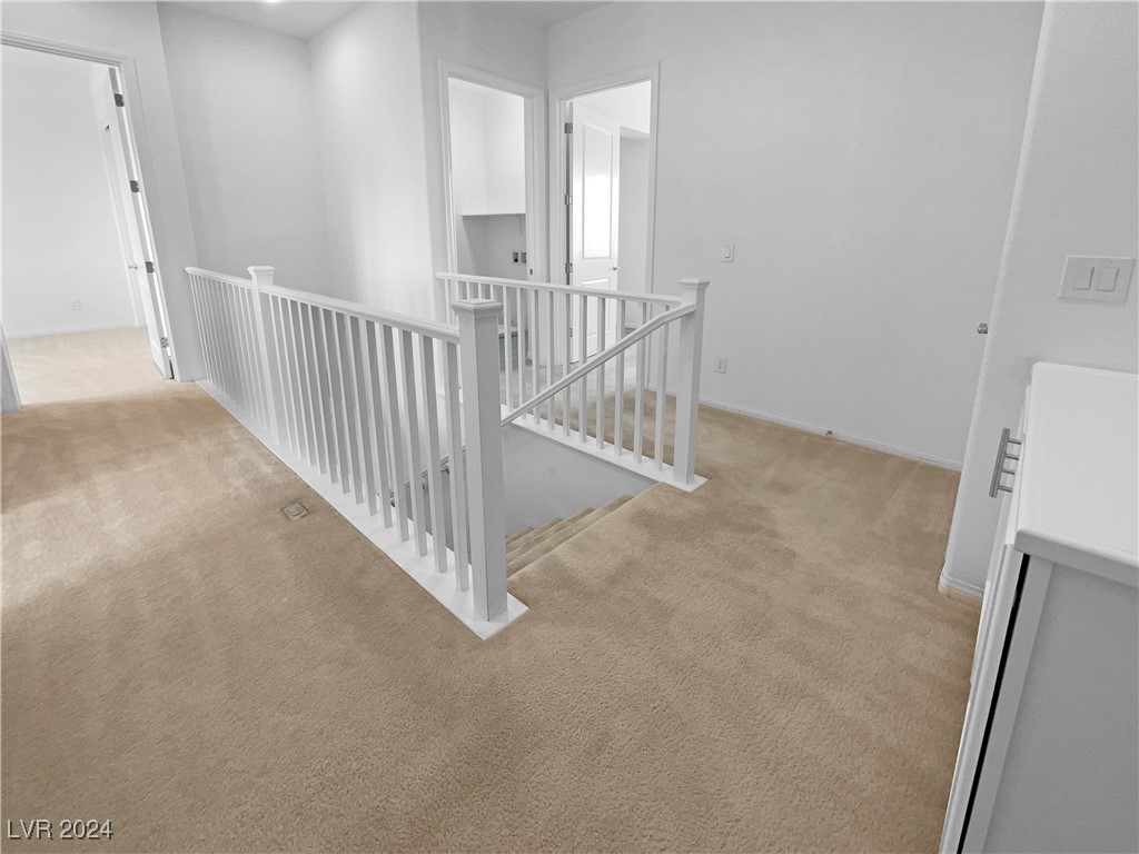10362 Addie De Mar Lane Property Photo 19
