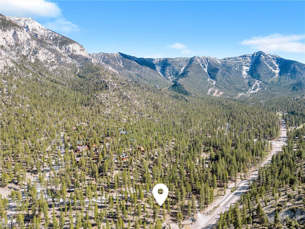 Lee Canyon Road Property Photo 1