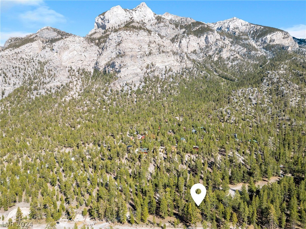 Lee Canyon Road Property Photo 3