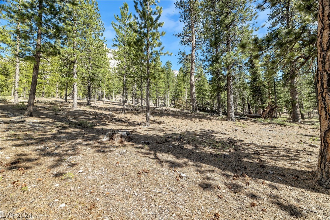 Lee Canyon Road Property Photo 4