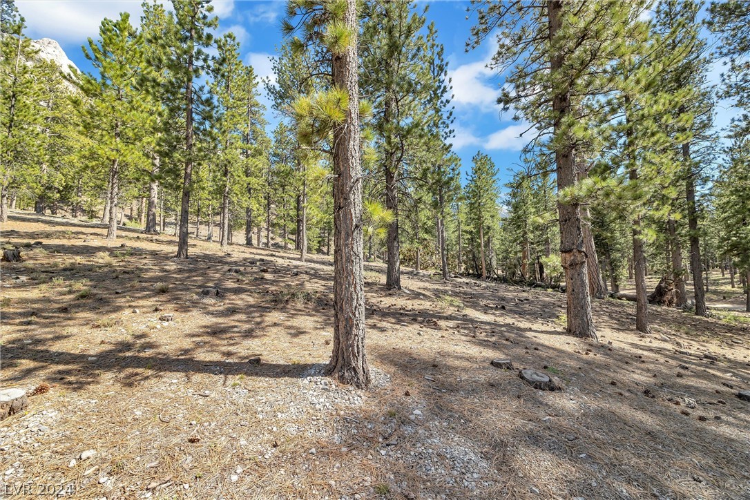 Lee Canyon Road Property Photo 5