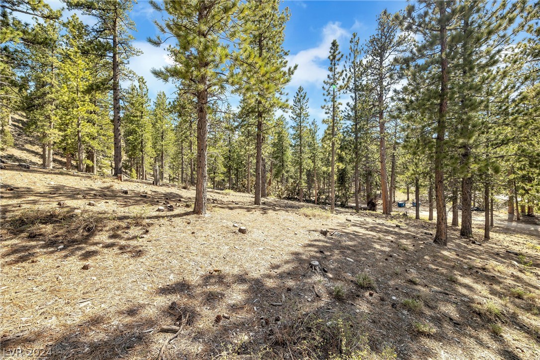 Lee Canyon Road Property Photo 6