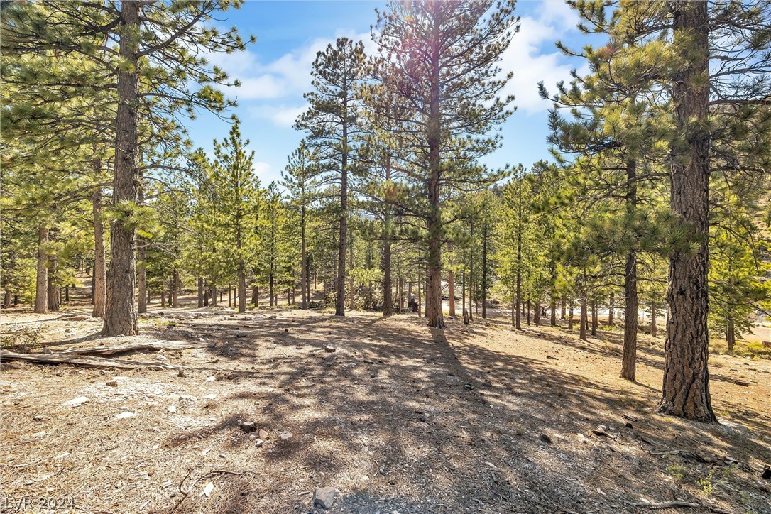 Lee Canyon Road Property Photo 7