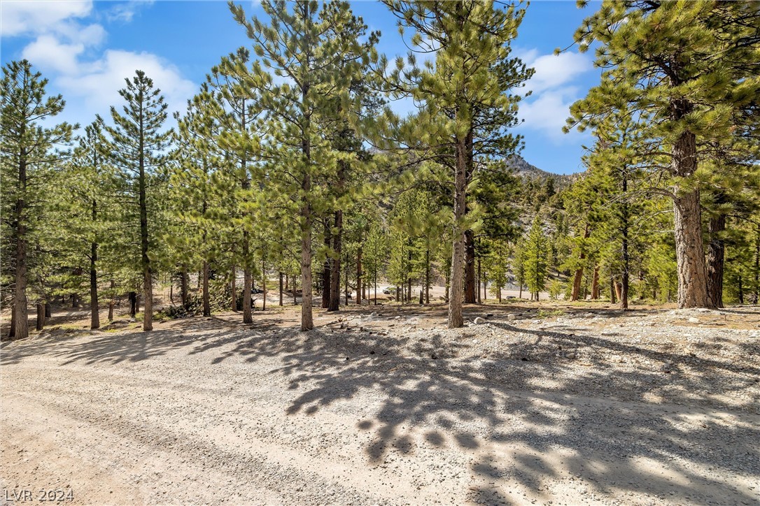 Lee Canyon Road Property Photo 8