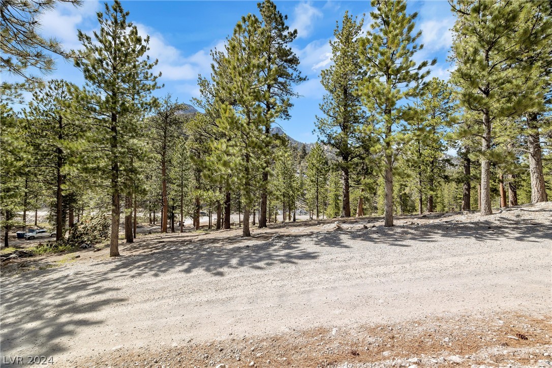 Lee Canyon Road Property Photo 9