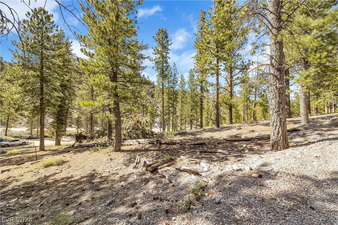 Lee Canyon Road Property Photo 10