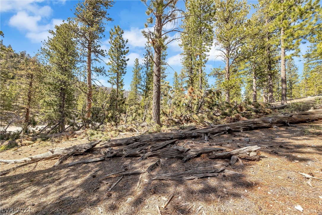 Lee Canyon Road Property Photo 11