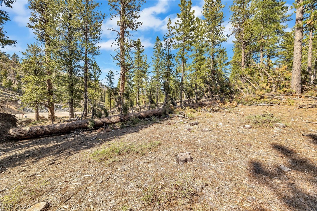 Lee Canyon Road Property Photo 12