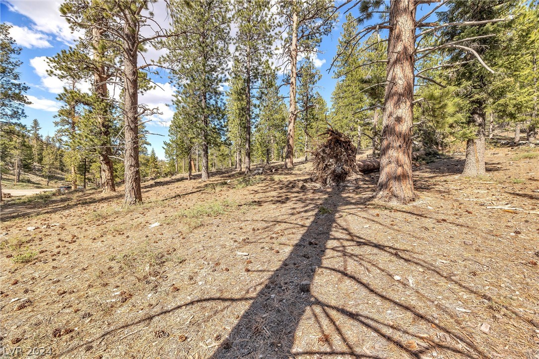 Lee Canyon Road Property Photo 13