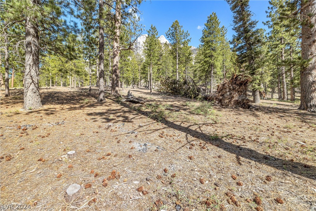 Lee Canyon Road Property Photo 14