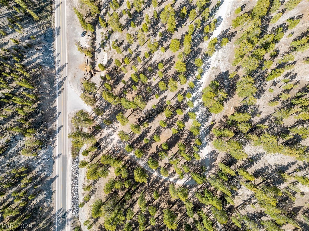 Lee Canyon Road Property Photo 15