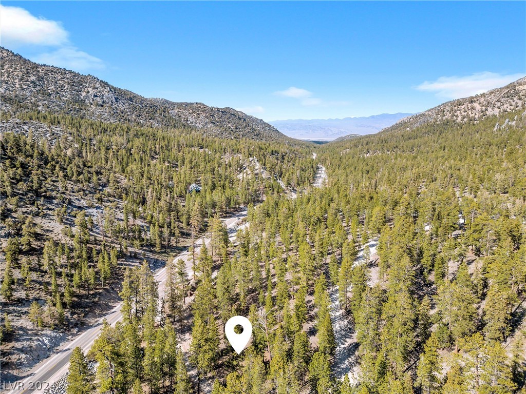 Lee Canyon Road Property Photo 17