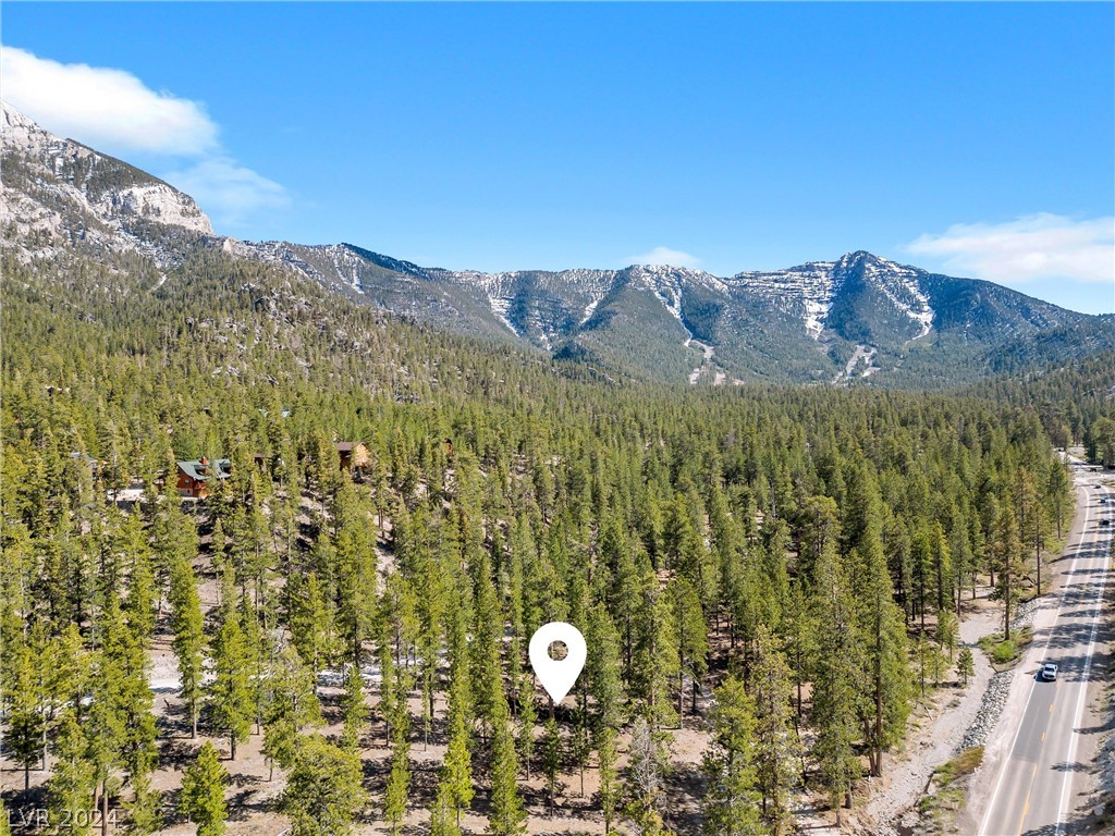 Lee Canyon Road Property Photo 18