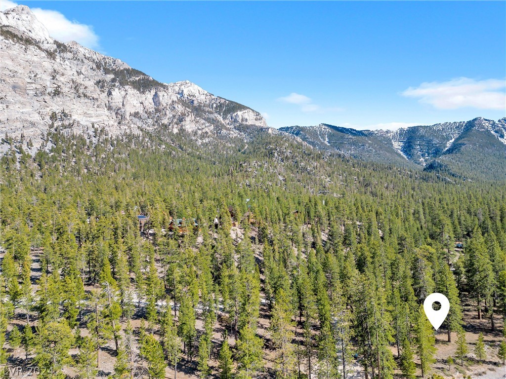 Lee Canyon Road Property Photo 19