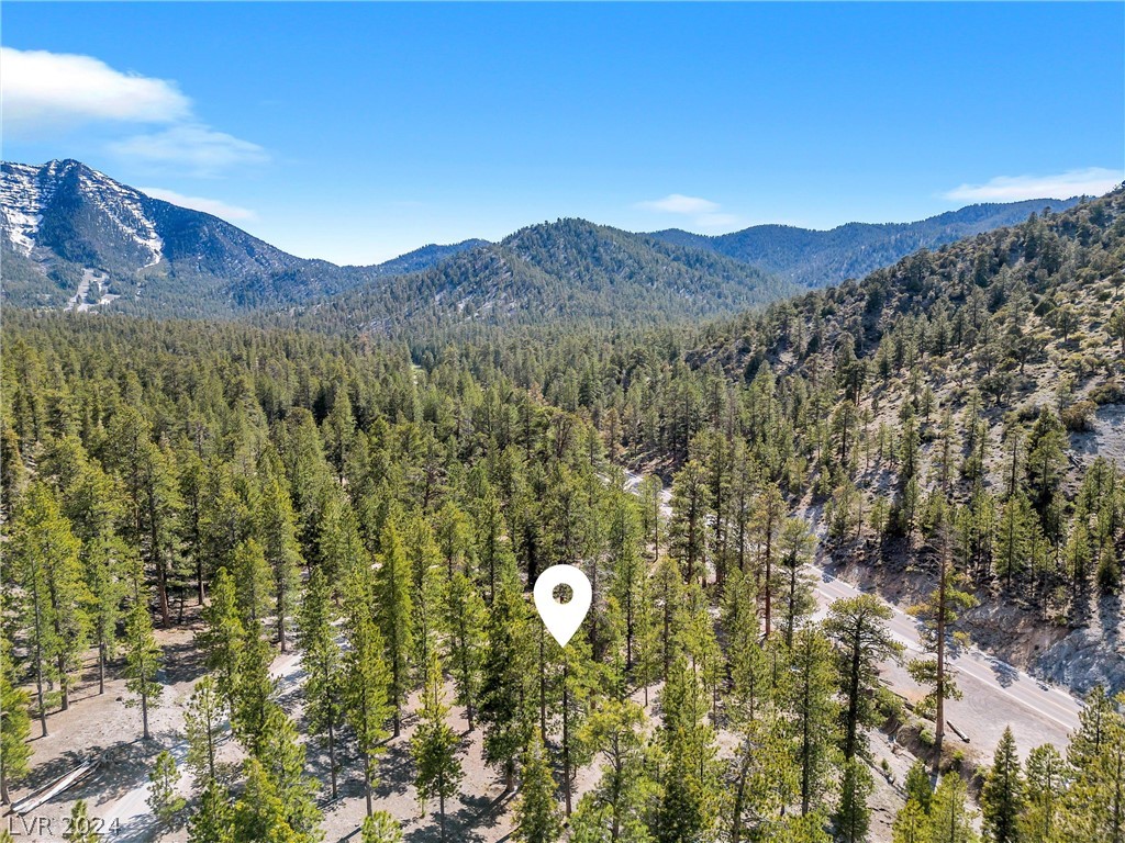 Lee Canyon Road Property Photo 20