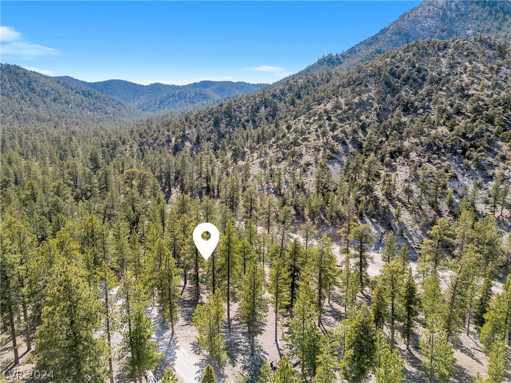 Lee Canyon Road Property Photo 21
