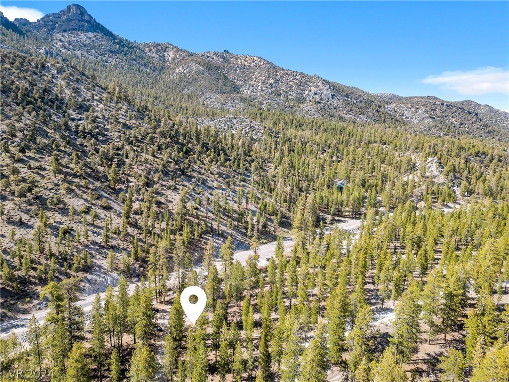 Lee Canyon Road Property Photo 22
