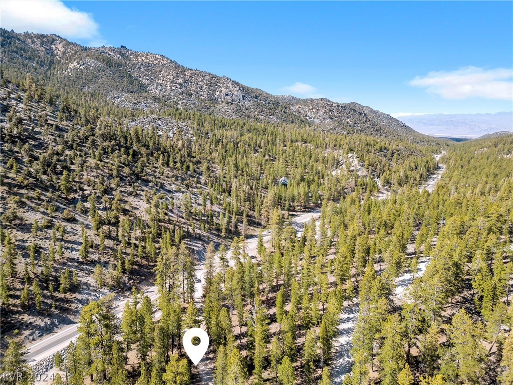 Lee Canyon Road Property Photo 23