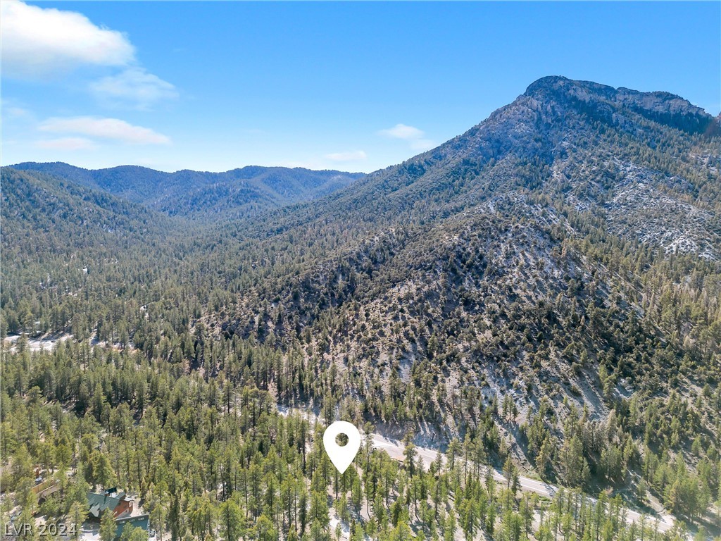 Lee Canyon Road Property Photo 24