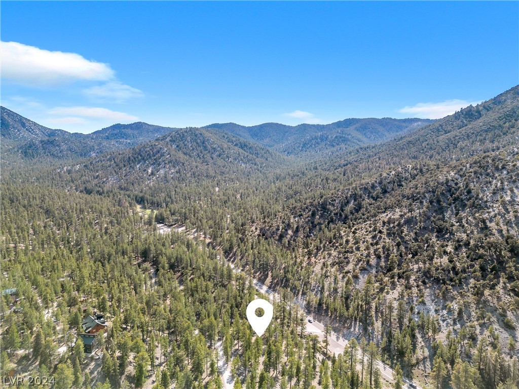 Lee Canyon Road Property Photo 25