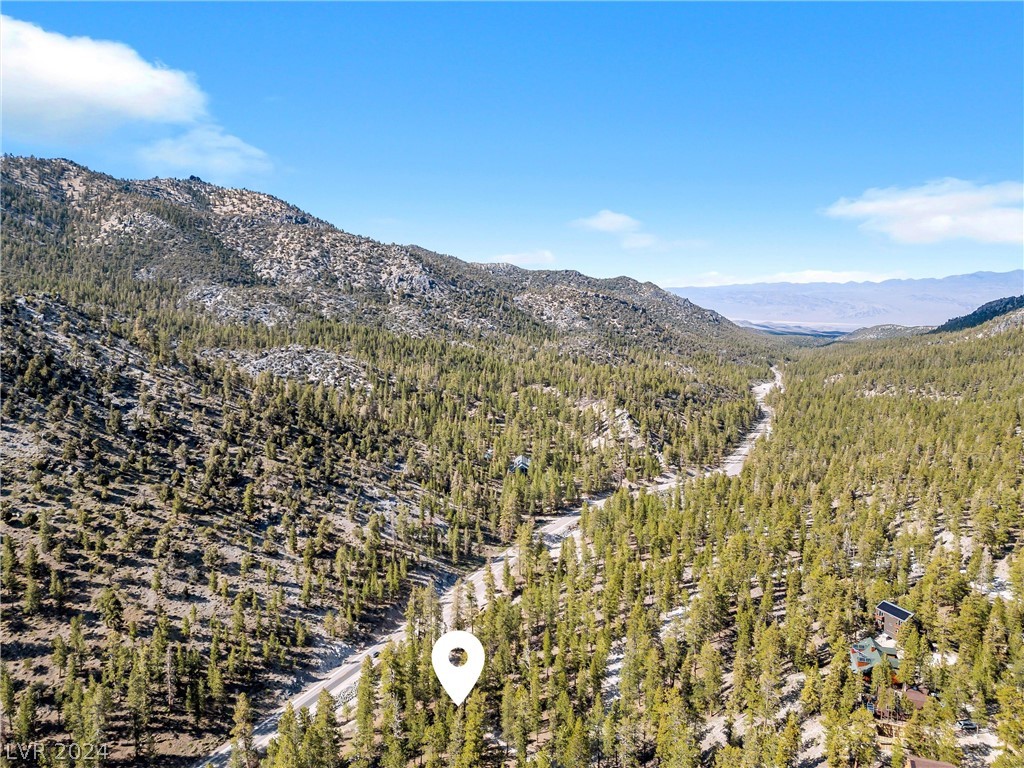 Lee Canyon Road Property Photo 26