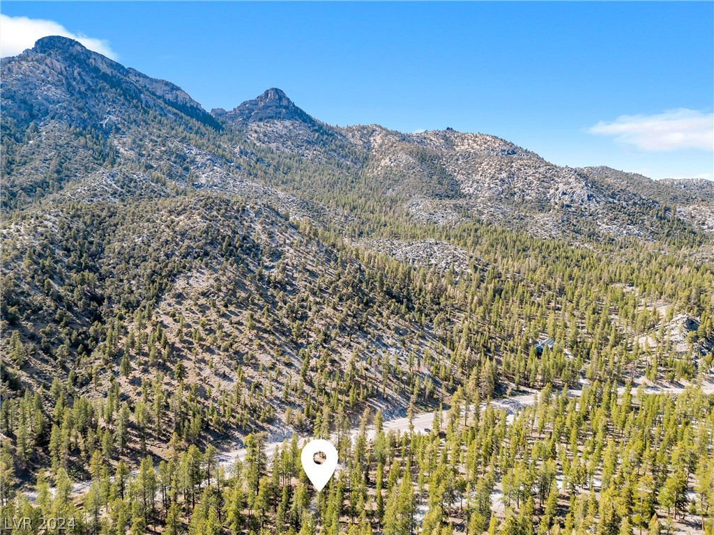 Lee Canyon Road Property Photo 27