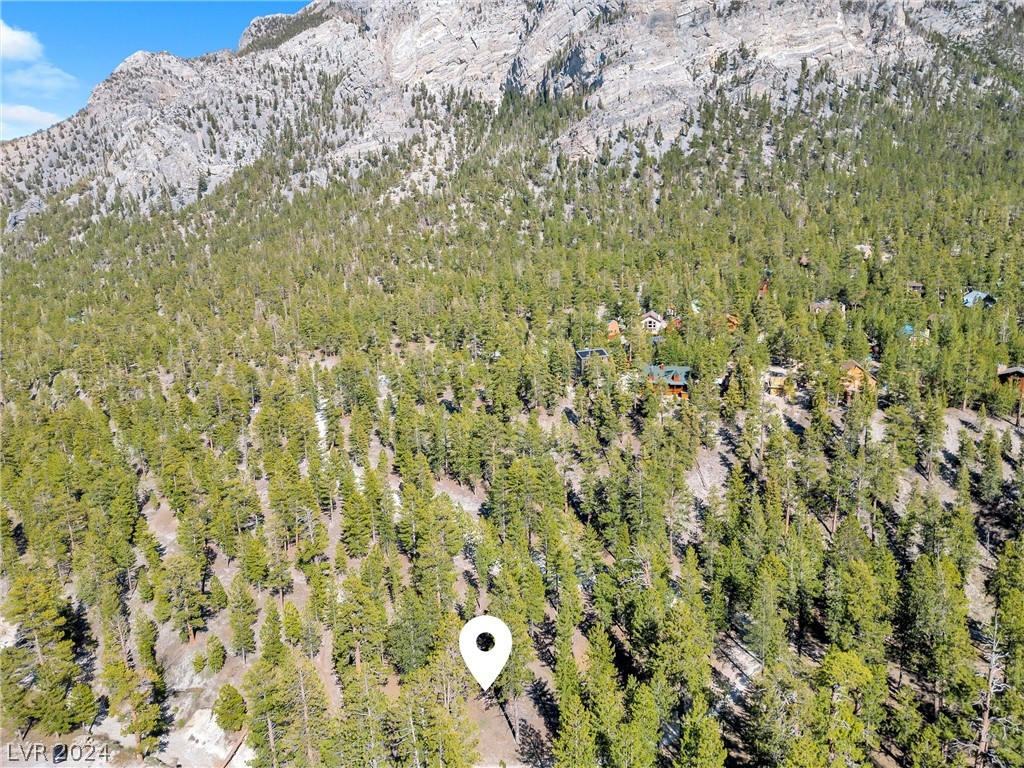 Lee Canyon Road Property Photo 28