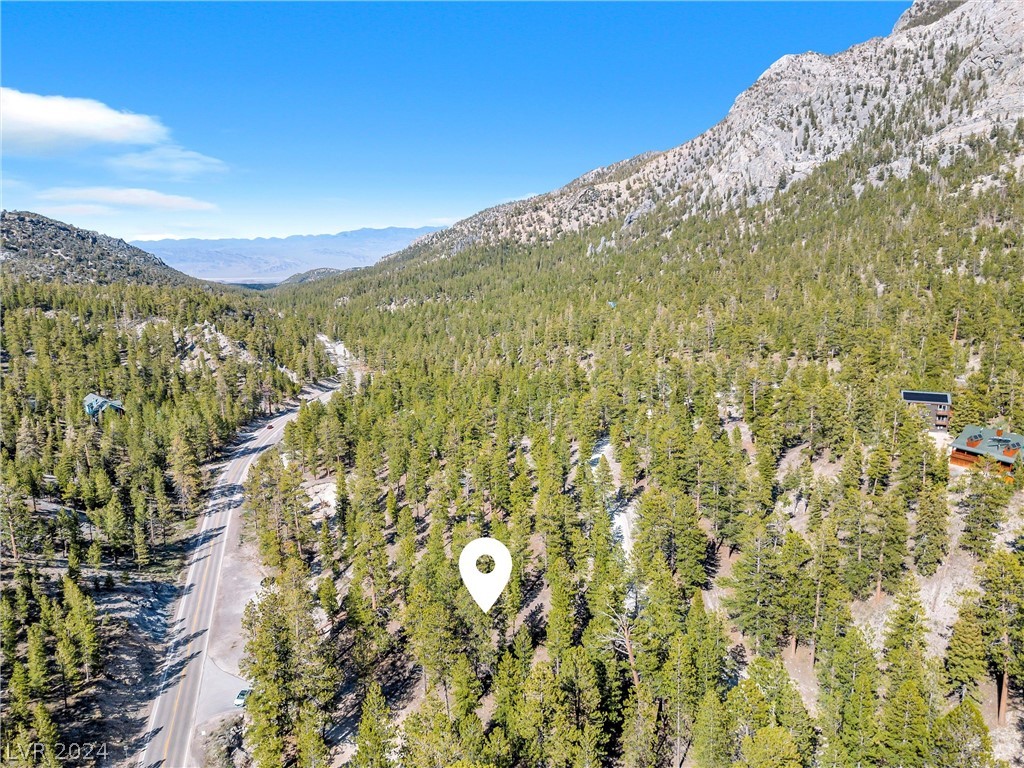 Lee Canyon Road Property Photo 29