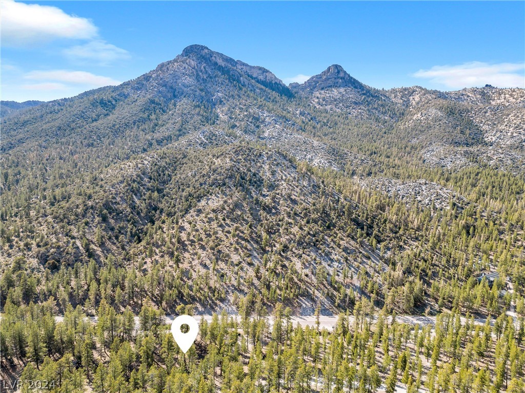 Lee Canyon Road Property Photo 30