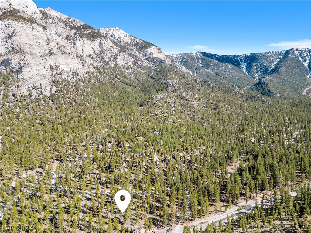 Lee Canyon Road Property Photo 31