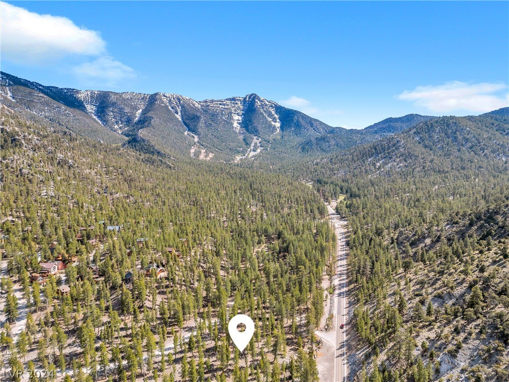 Lee Canyon Road Property Photo 32