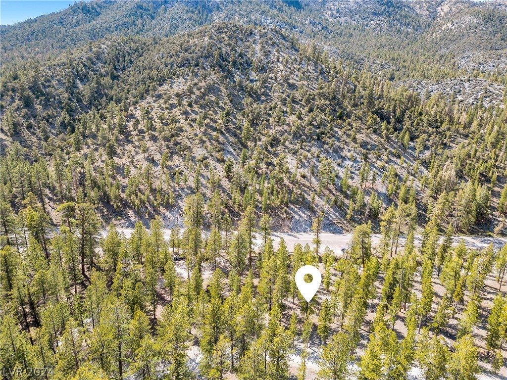 Lee Canyon Road Property Photo 33