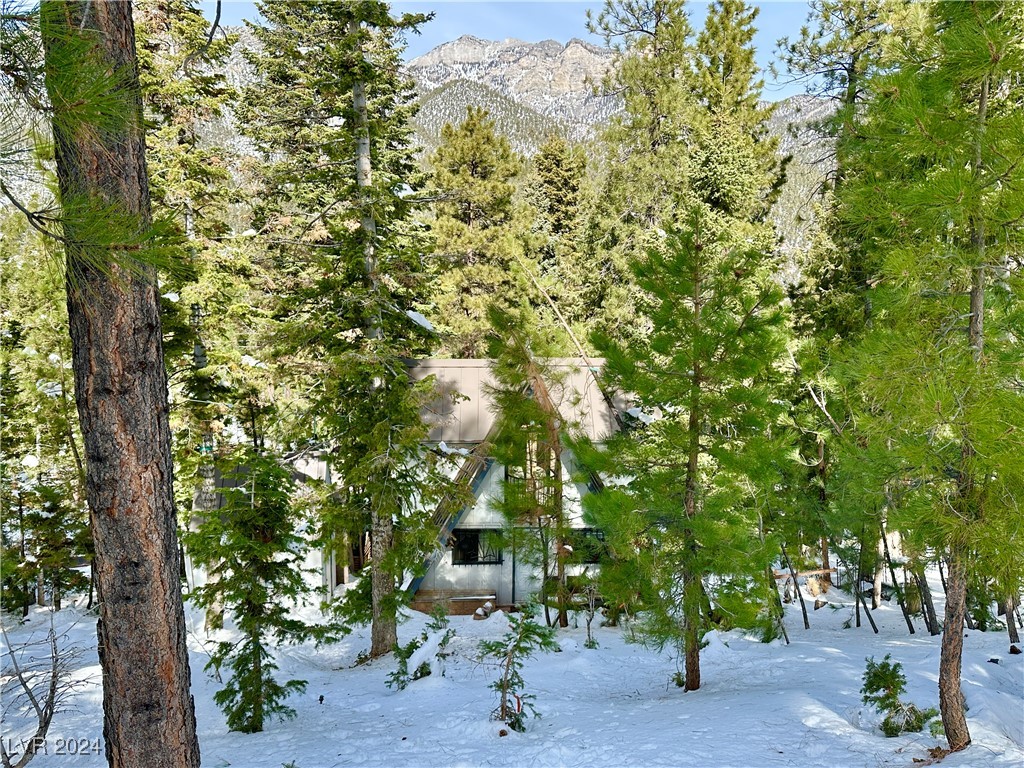 4205 Mont Blanc Way Property Photo 2