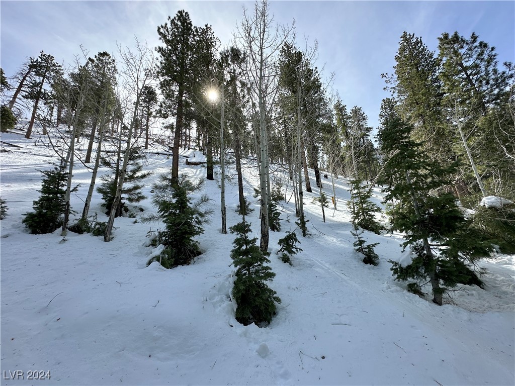 4205 Mont Blanc Way Property Photo 8