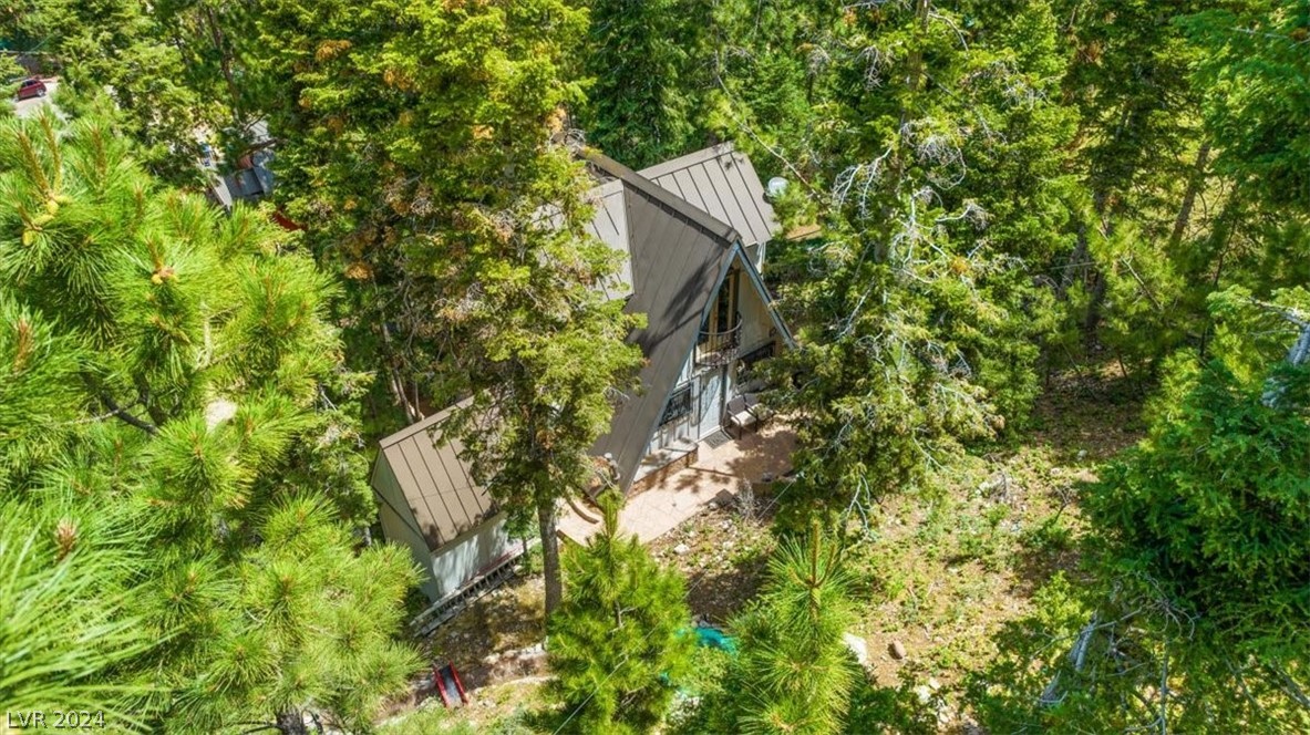 4205 Mont Blanc Way Property Photo 14