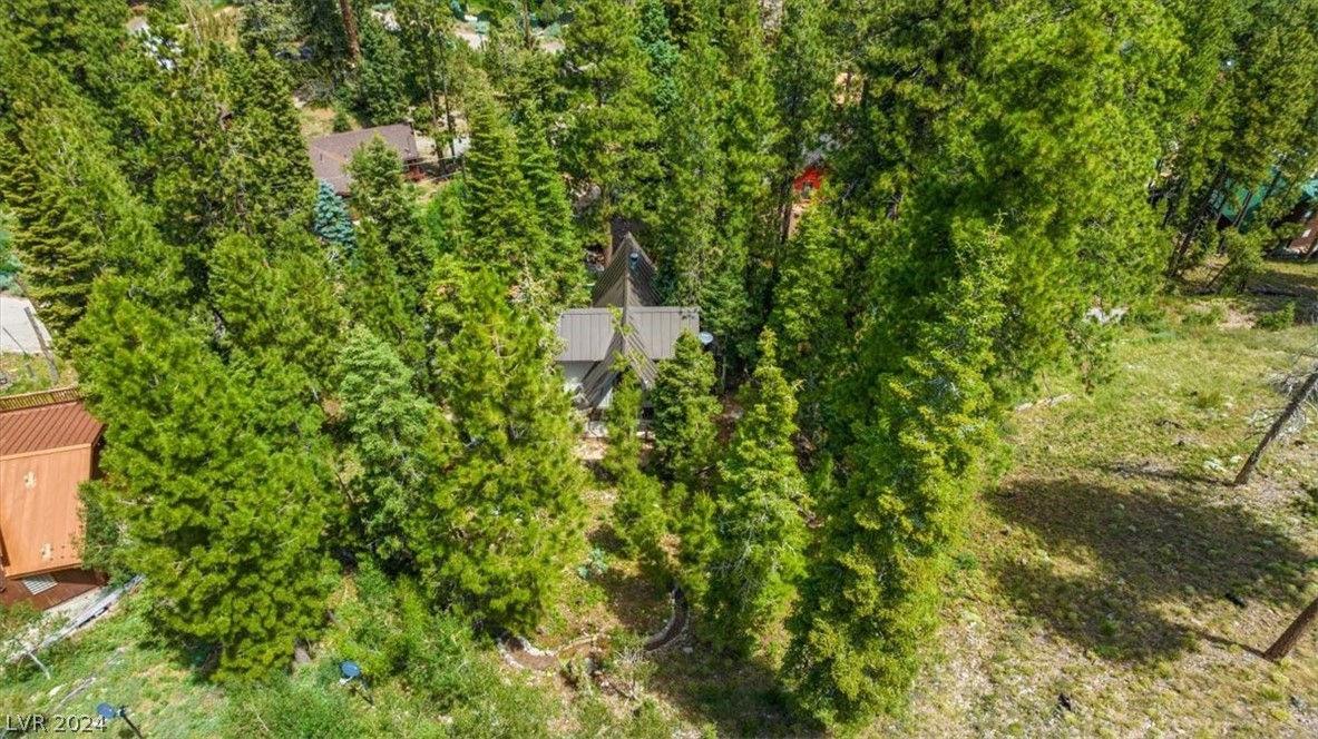 4205 Mont Blanc Way Property Photo 16