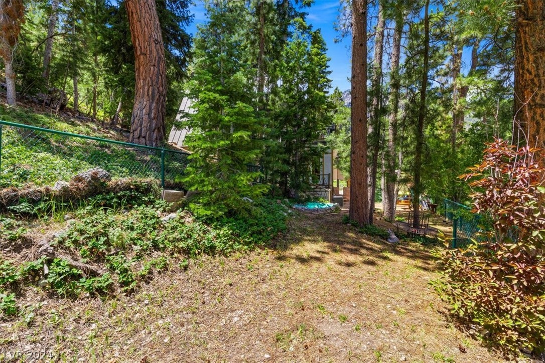 4205 Mont Blanc Way Property Photo 31