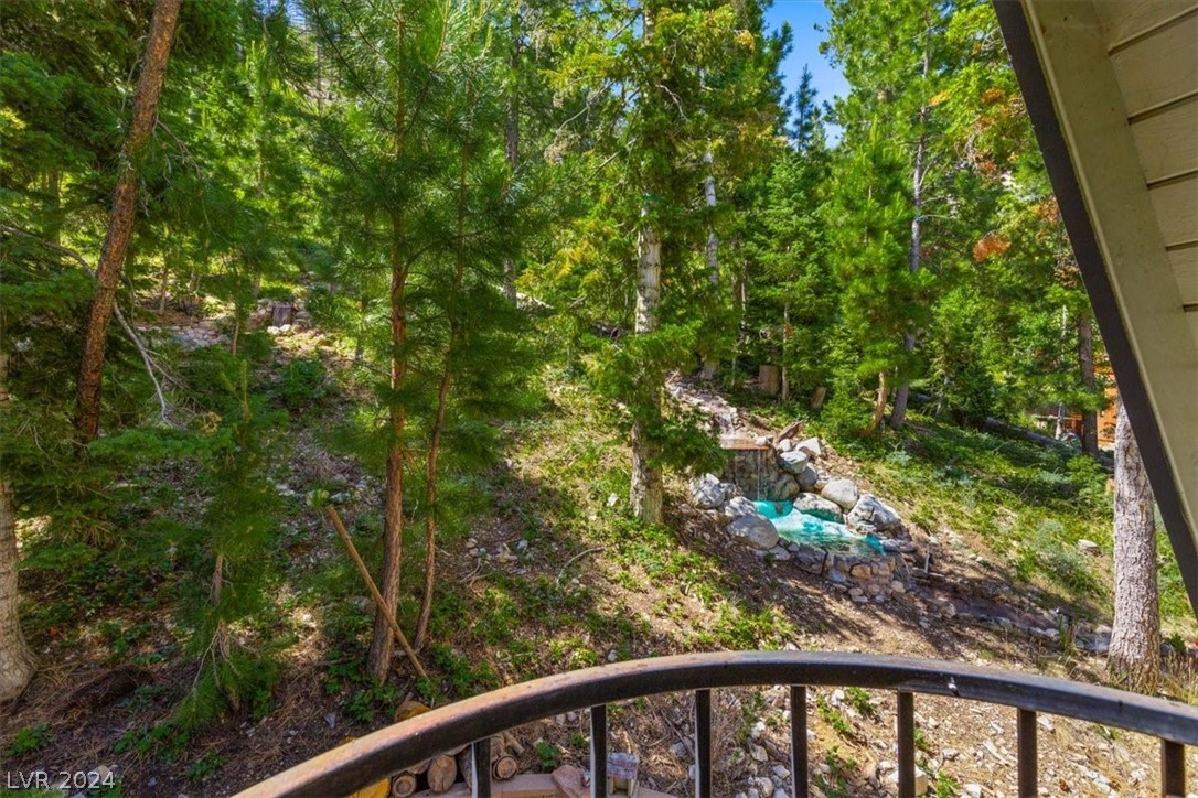 4205 Mont Blanc Way Property Photo 37
