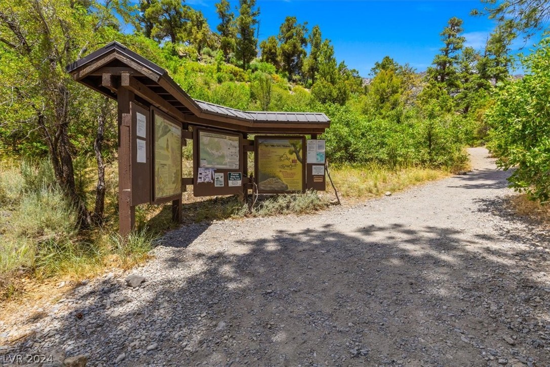 4205 Mont Blanc Way Property Photo 57