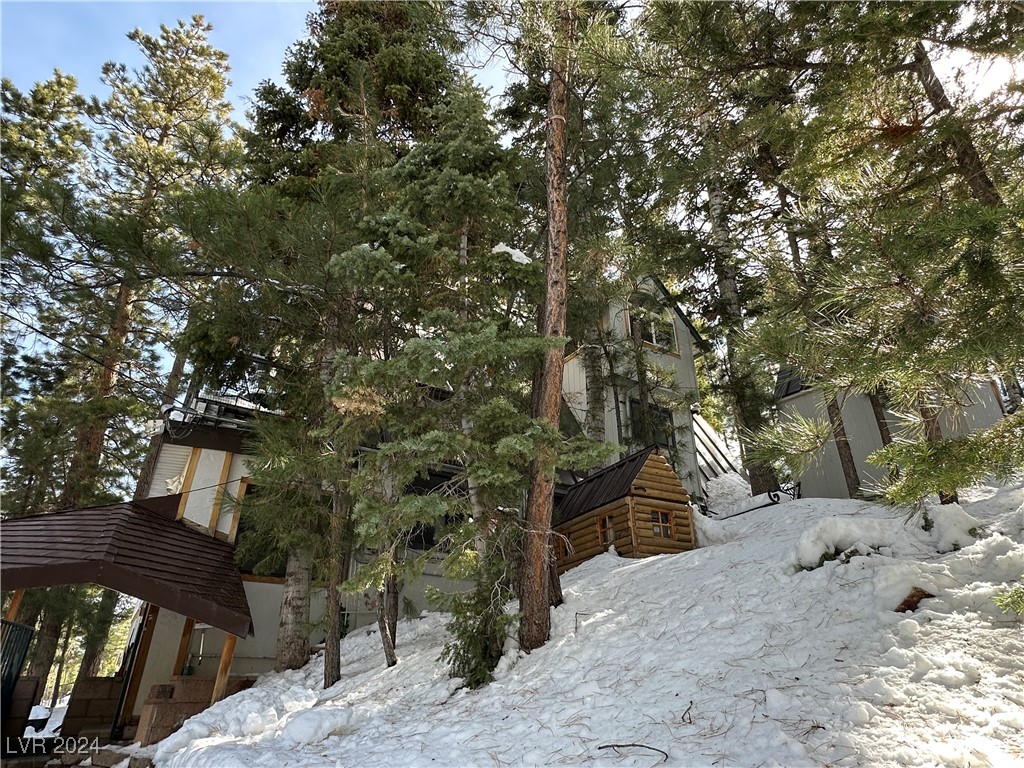 4205 Mont Blanc Way Property Photo 69