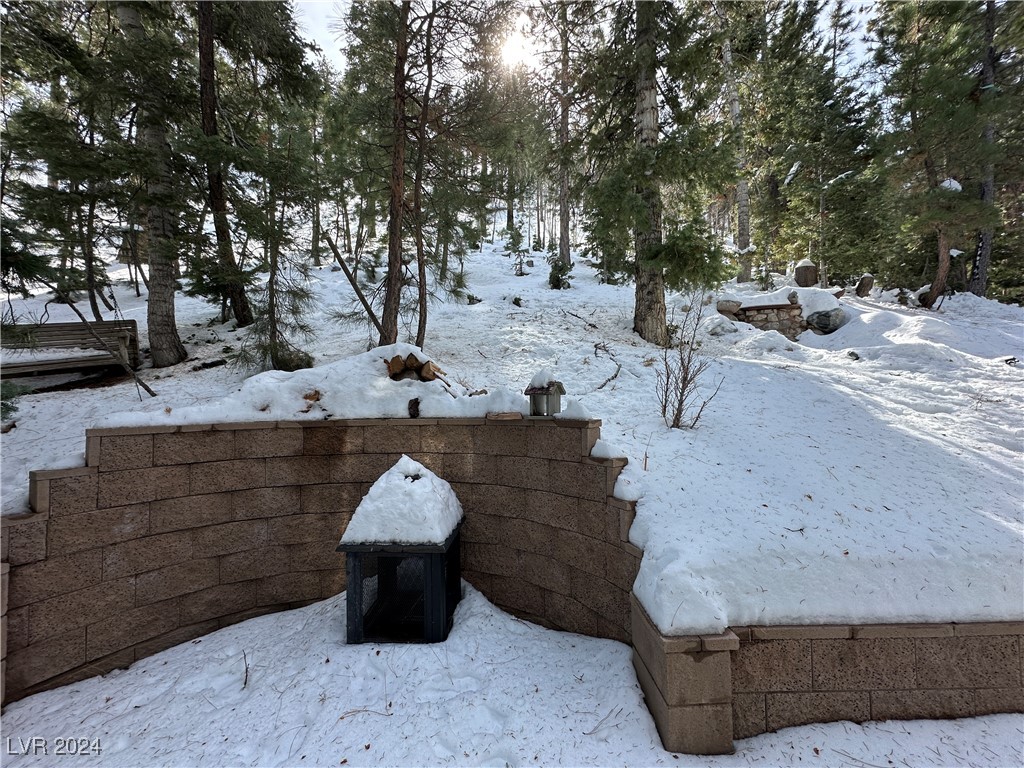 4205 Mont Blanc Way Property Photo 71