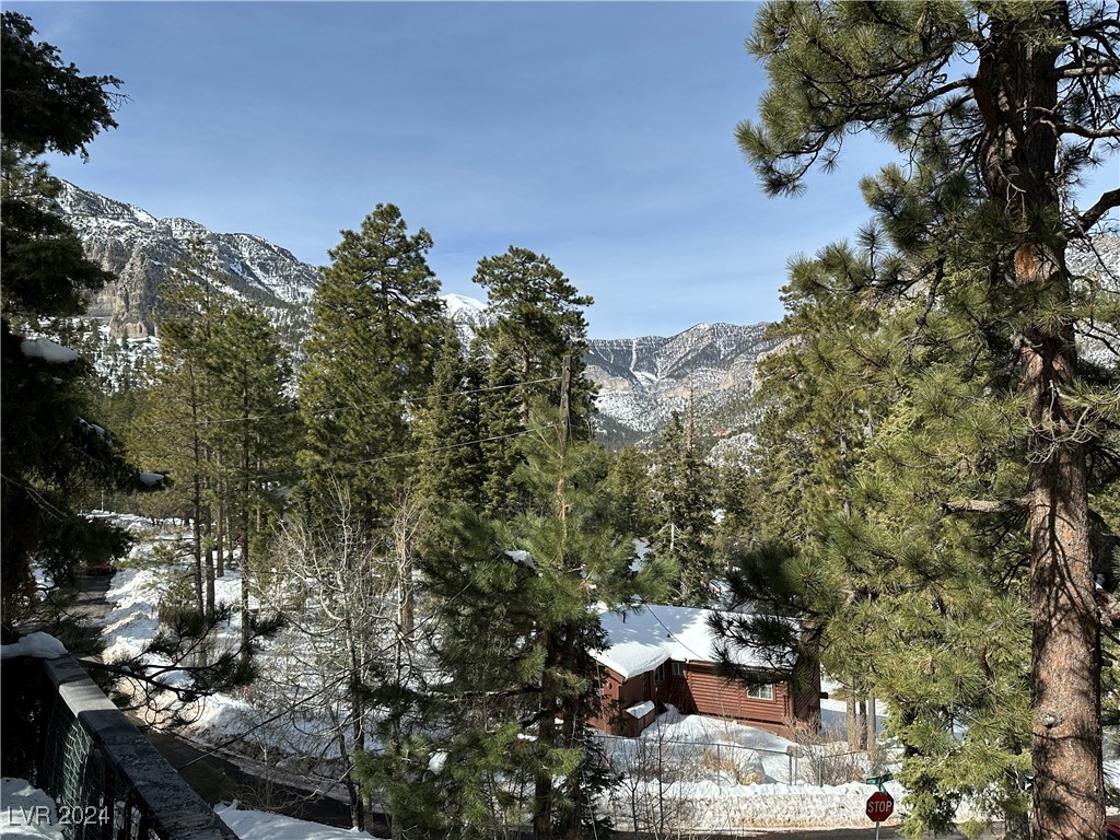 4205 Mont Blanc Way Property Photo 72