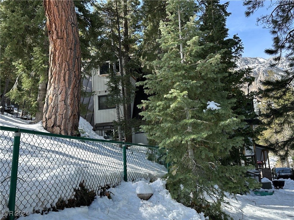 4205 Mont Blanc Way Property Photo 74