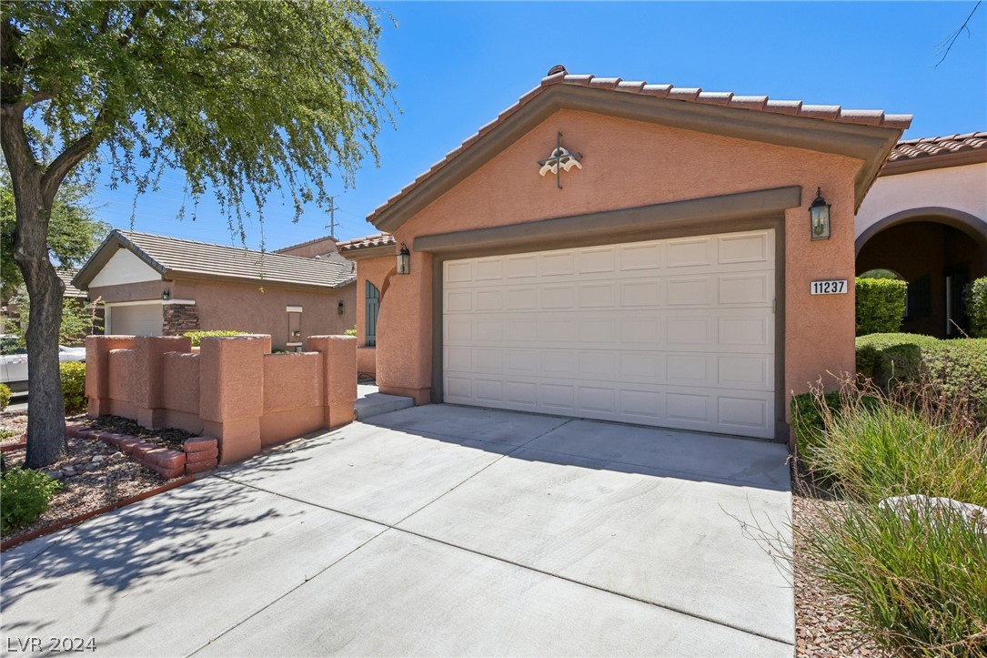 11237 Piper Peak Lane Property Photo 1