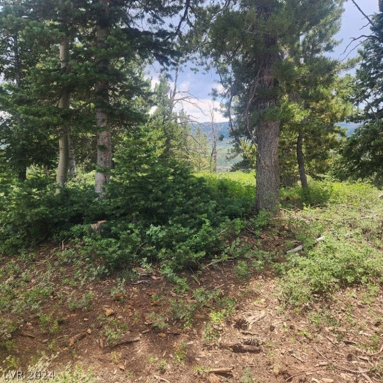 1272 Aspen Drive Property Photo 3
