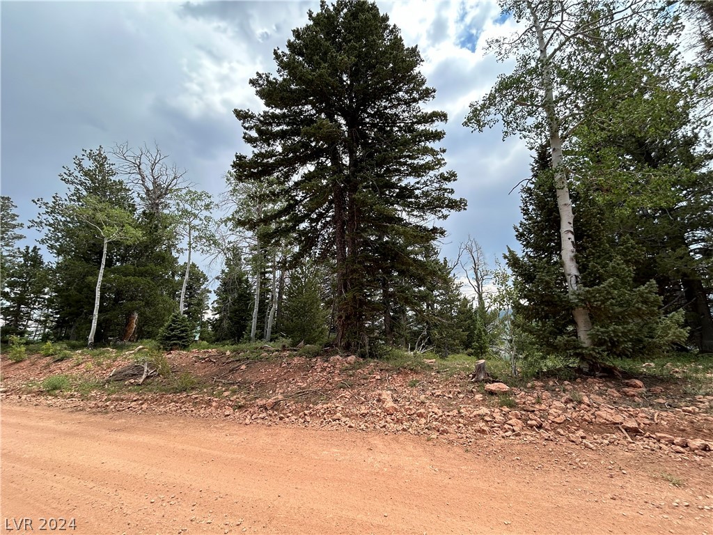 1272 Aspen Drive Property Photo 4