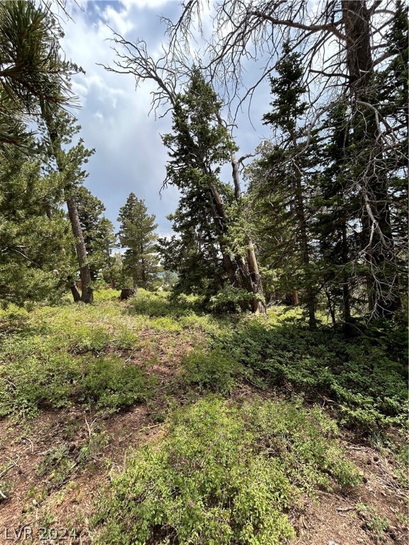1272 Aspen Drive Property Photo 8