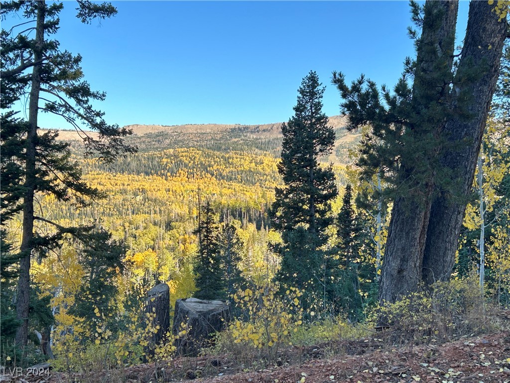 660 West Ski View Drive Property Photo 1